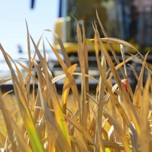 Fedeagro denuncia violencia y extorsión contra agricultores en Venezuela